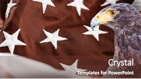  Presentation with eagle - Amazing slide set having close-up of eagle backdrop and a tawny brown colored foreground