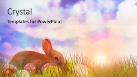  Presentation with bunny - Cool new slide set with close-up of easter bunny against glowing background backdrop and a light blue colored foreground