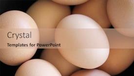  Presentation with hell - Colorful PPT theme enhanced with close up of eggs in hell macro eggs backdrop and a coral colored foreground