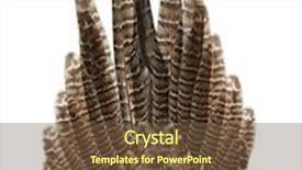  Presentation with chinese chinese - PPT theme featuring close up of female golden background and a tawny brown colored foreground