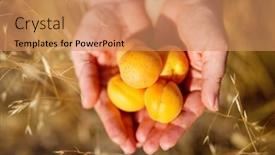  Presentation with hands holding - PPT theme having close-up-of-female-hands background and a coral colored foreground