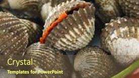  Presentation with clam - 