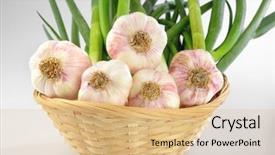  Presentation with garlic - Presentation theme consisting of close up of fresh garlic background and a coral colored foreground
