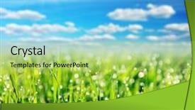  Presentation with blue sky - PPT theme featuring close up of fresh morning background and a yellow colored foreground