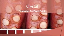  Presentation with octopus - Colorful presentation enhanced with close-up-of-fresh-raw backdrop and a coral colored foreground