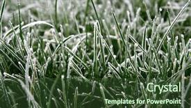  Presentation with blade - Beautiful presentation featuring nature concepts two egg cracked end plants growing inside isolated on white background backdrop and a cream colored foreground