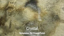  Presentation with close up of a chess - Colorful slide deck enhanced with close-up of fur background backdrop and a gray colored foreground