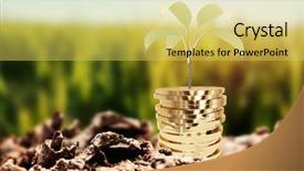  Presentation with green gold - Amazing presentation theme having close-up of garbage backdrop and a yellow colored foreground