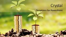  Presentation with gold leaves - Slide deck having close-up of garbage background and a yellow colored foreground