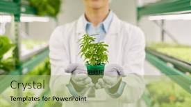  Presentation with lab coat - Presentation theme featuring close-up-of-gloved-hands background and a  colored foreground