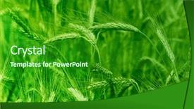  Presentation with agricultural - PPT theme enhanced with making in clay on pottery background and a coral colored foreground