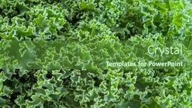  Presentation with green leaf - Presentation theme consisting of close-up-of-green-kale background and a tawny brown colored foreground