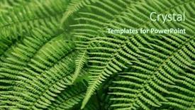  Presentation with green leaf - Slide deck featuring close-up-of-green-leaf background and a tawny brown colored foreground