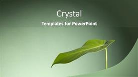  Presentation with green shadow - 