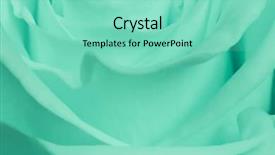  Presentation with tiger orchid close up petal - Presentation theme with close up of green rose background and a seafoam green colored foreground