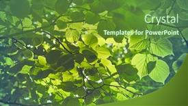  Presentation with green leaves - PPT layouts with close-up-of-green-spring background and a tawny brown colored foreground