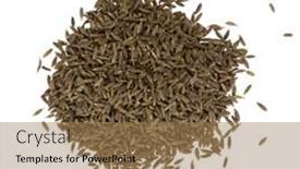  Presentation with cumin - PPT theme consisting of close-up-of-heap and a coral colored foreground