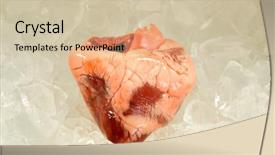  Presentation with heart valve - Presentation enhanced with close up of heart sitting background and a soft green colored foreground