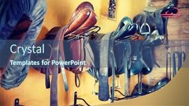  Presentation with horse - Cool new PPT theme with close-up-of-horse-saddle backdrop and a ocean colored foreground