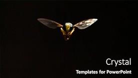  Presentation with close up of printer ink - Amazing presentation having close-up-of-hoverfly-outdoor backdrop and a black colored foreground