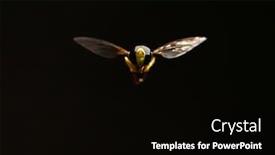  Presentation with close up of printer ink - Beautiful presentation design featuring close-up-of-hoverfly-outdoor backdrop and a black colored foreground