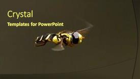  Presentation with outdoor mall - Cool new PPT theme with close-up-of-hoverfly-outdoor backdrop and a tawny brown colored foreground