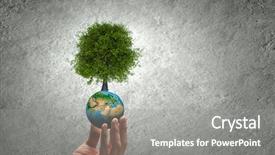  Presentation with human life cycle - Slides having close up of human hand background and a gray colored foreground