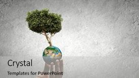  Presentation with human - Amazing PPT theme having close up of human hand backdrop and a light gray colored foreground