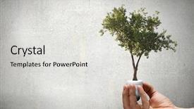  Presentation with trophy award hand holding - Theme featuring close up of human hand background and a light gray colored foreground