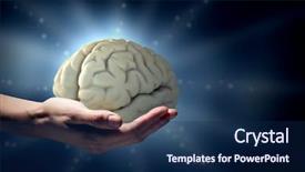  Presentation with human brain - Beautiful PPT layouts featuring close up of human hand backdrop and a navy blue colored foreground