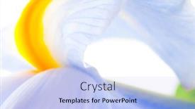  Presentation with iris - Audience pleasing presentation consisting of sauna set - pair of bathing mittens and salt backdrop and a gray colored foreground