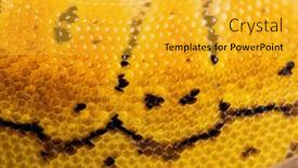  Presentation with python - Slides with close-up-of-lemon-blast background and a gold colored foreground