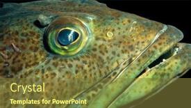  Presentation with beautiful skin - Slides featuring close-up-of-ling-cod background and a tawny brown colored foreground