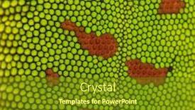  Presentation with skin - Cool new slides with close-up-of-madagascar-day backdrop and a tawny brown colored foreground