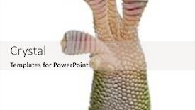  Presentation with old - Amazing PPT theme having close-up-of-madagascar-day backdrop and a lemonade colored foreground