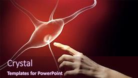  Presentation with nerve - Audience pleasing PPT theme consisting of close up of man hand touching nerve symbol backdrop and a wine colored foreground