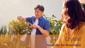  Presentation with home garden - Presentation design having close-up-of-mature-asian background and a gold colored foreground