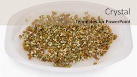  Presentation with bean sprouts - Presentation enhanced with close-up-of-mung-bean background and a coral colored foreground