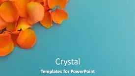  Presentation with blue rose - Beautiful PPT theme featuring close-up-of-orange-rose backdrop and a teal colored foreground