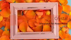  Presentation with rustic love - Presentation theme consisting of close-up-of-orange-rose background and a red colored foreground