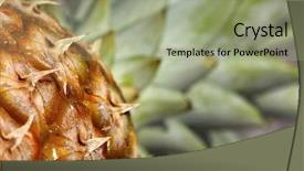  Presentation with pineapple - Colorful presentation theme enhanced with close-up of pineapple with green leaves backdrop and a mint green colored foreground