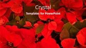  Presentation with green color - Slide set consisting of close-up-of-plant-leaves background and a tawny brown colored foreground