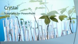  Presentation with test tubes - Theme consisting of close-up of plants background and a cool aqua colored foreground