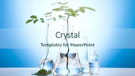  Presentation with test tubes - PPT layouts enhanced with close-up of plants background and a sky blue colored foreground