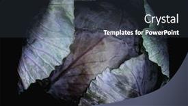  Presentation with cabbage - Cool new presentation with close-up-of-purple-cabbage backdrop and a tawny brown colored foreground