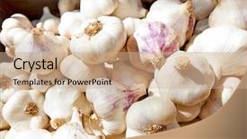  Presentation with garlic - Beautiful PPT layouts featuring close up of purple white garlic backdrop and a coral colored foreground