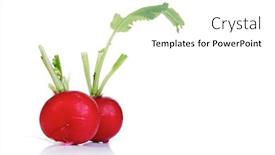  Presentation with background - Presentation theme consisting of close-up-of-raddish background and a white colored foreground