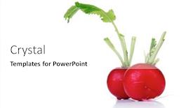  Presentation with close up of cereal granola - Beautiful presentation design featuring close-up-of-raddish backdrop and a white colored foreground