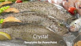  Presentation with grouper - Slide set having up of raw grouper fish background and a gray colored foreground