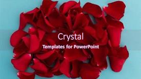  Presentation with love romance - Slide set featuring close-up-of-red-rose background and a wine colored foreground